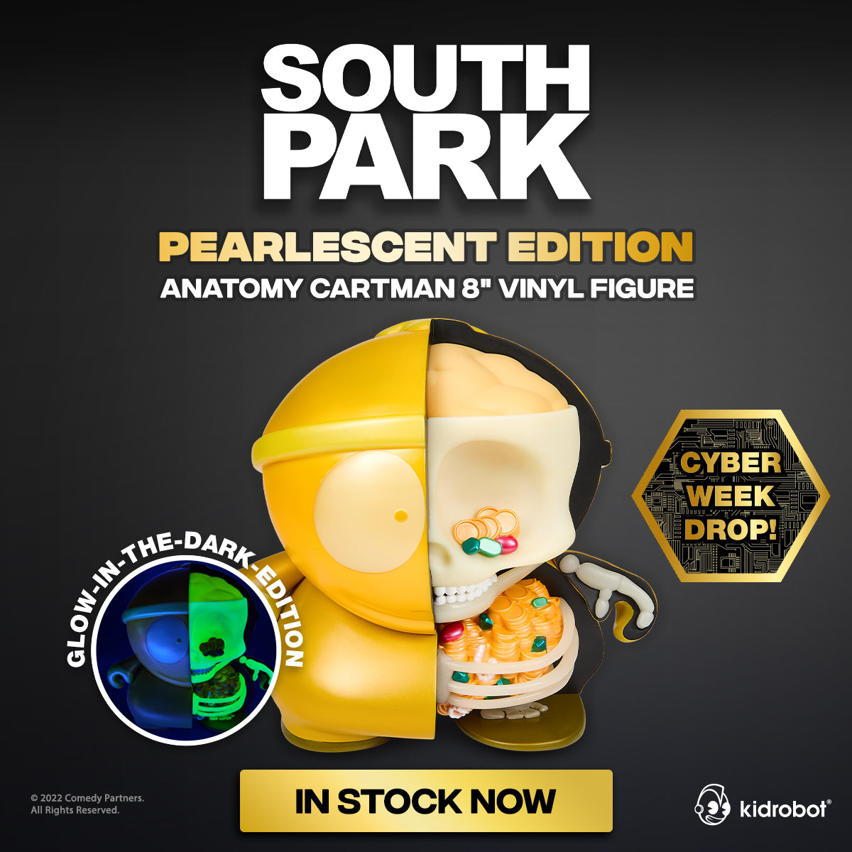 South Park Cartman Anatomy 8