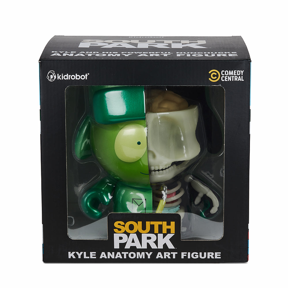 South Park Anatomy Kyle 8