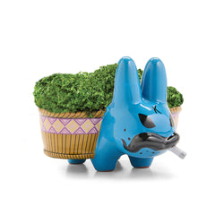 Chia Pet Smorkin’ Labbit - Smokin' Cool Blue Edition (Limited Edition of 800) (Kidrobot.com Exclusive) - Kidrobot