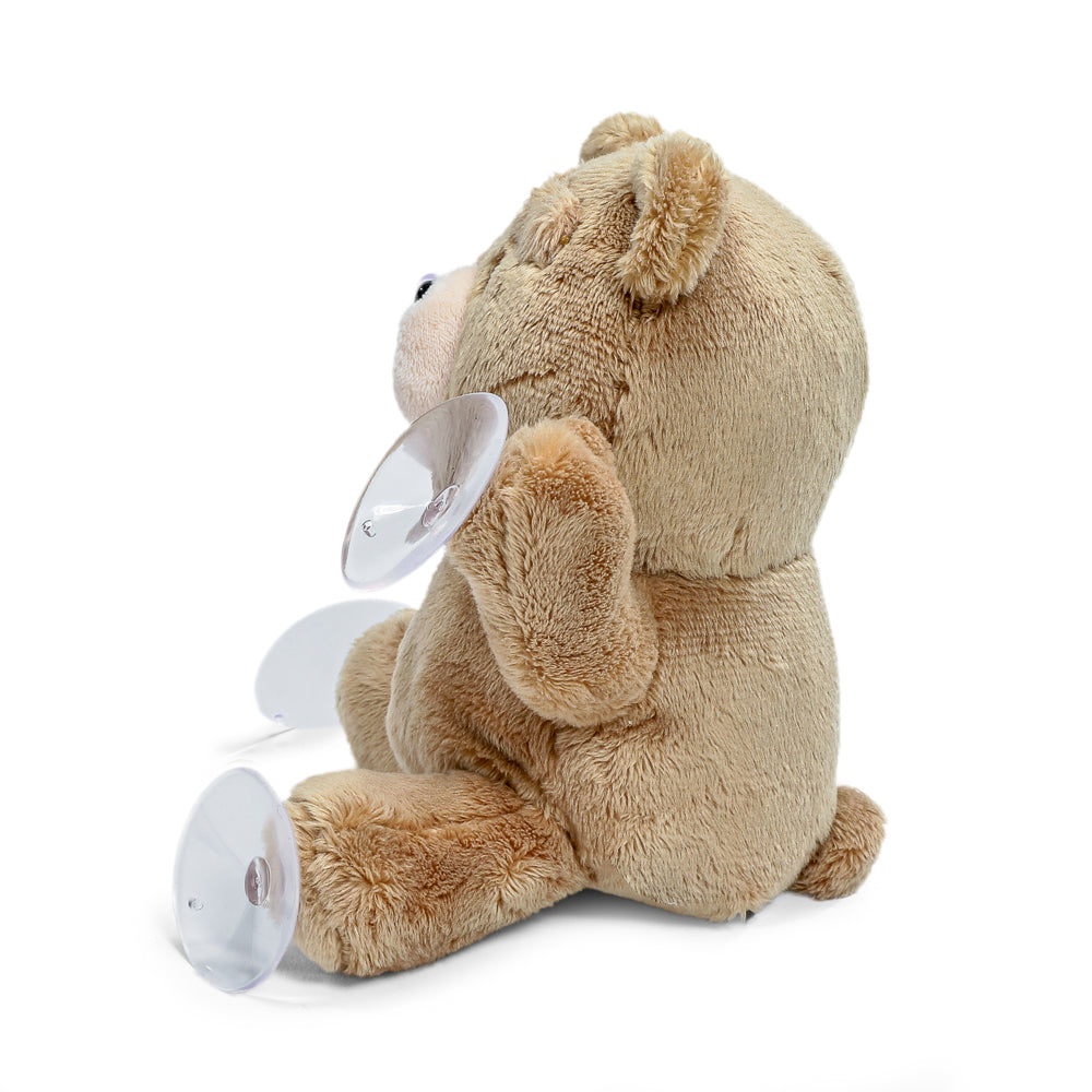 Ted 6” Plush Window Clinger by Kidrobot (PRE-ORDER) - Kidrobot