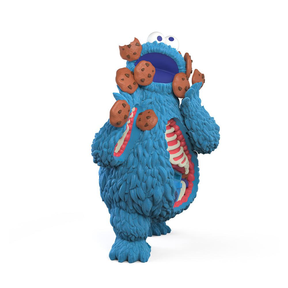 Sesame Street - Kaiju Anatomy Cookie Monster 8