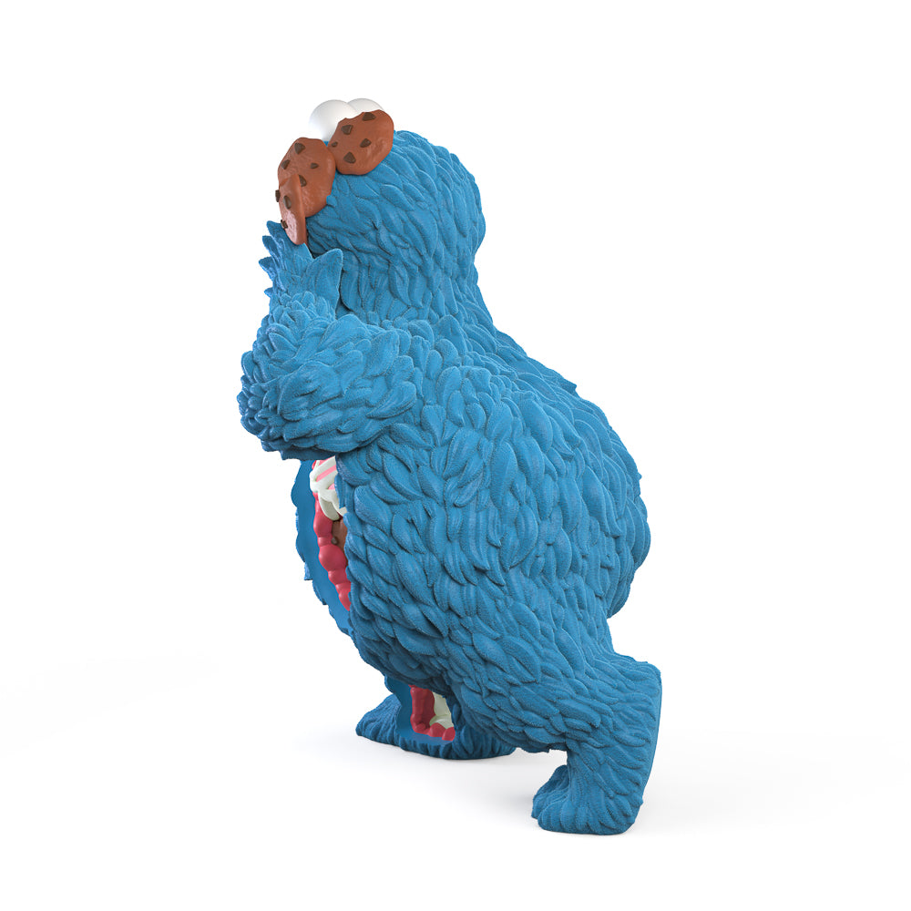 Sesame Street - Kaiju Anatomy Cookie Monster 8
