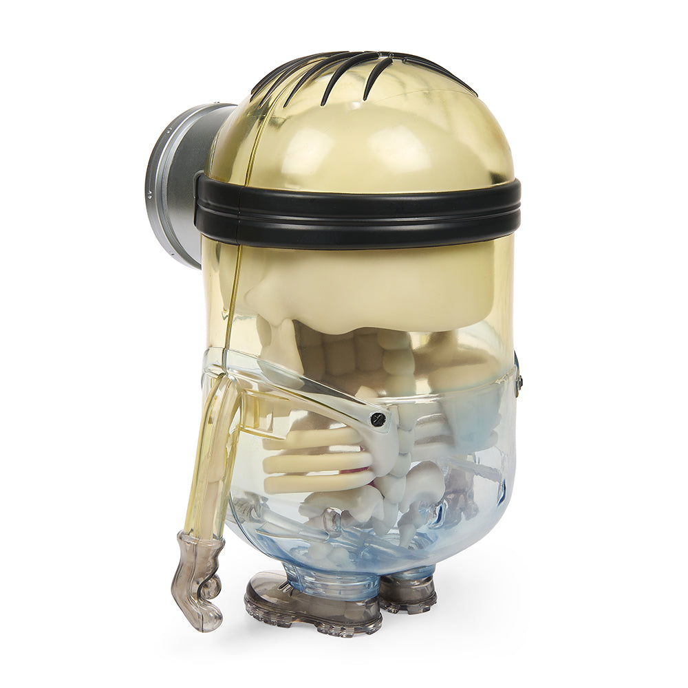 Minions Anatomy 8” Art Figure by Kidrobot - Kidrobot