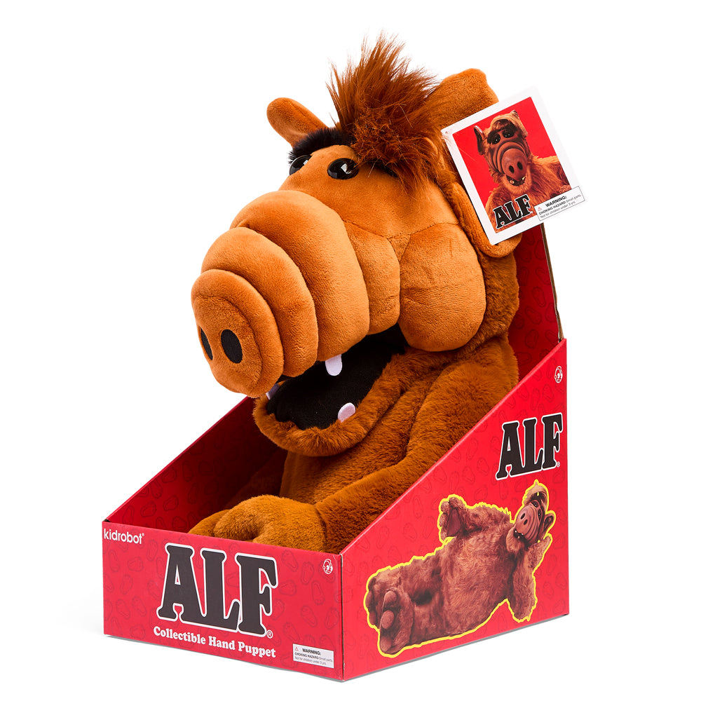 ALF 13