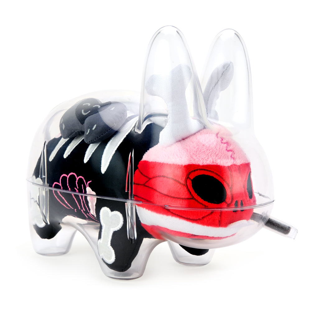 The Visible Labbit 7