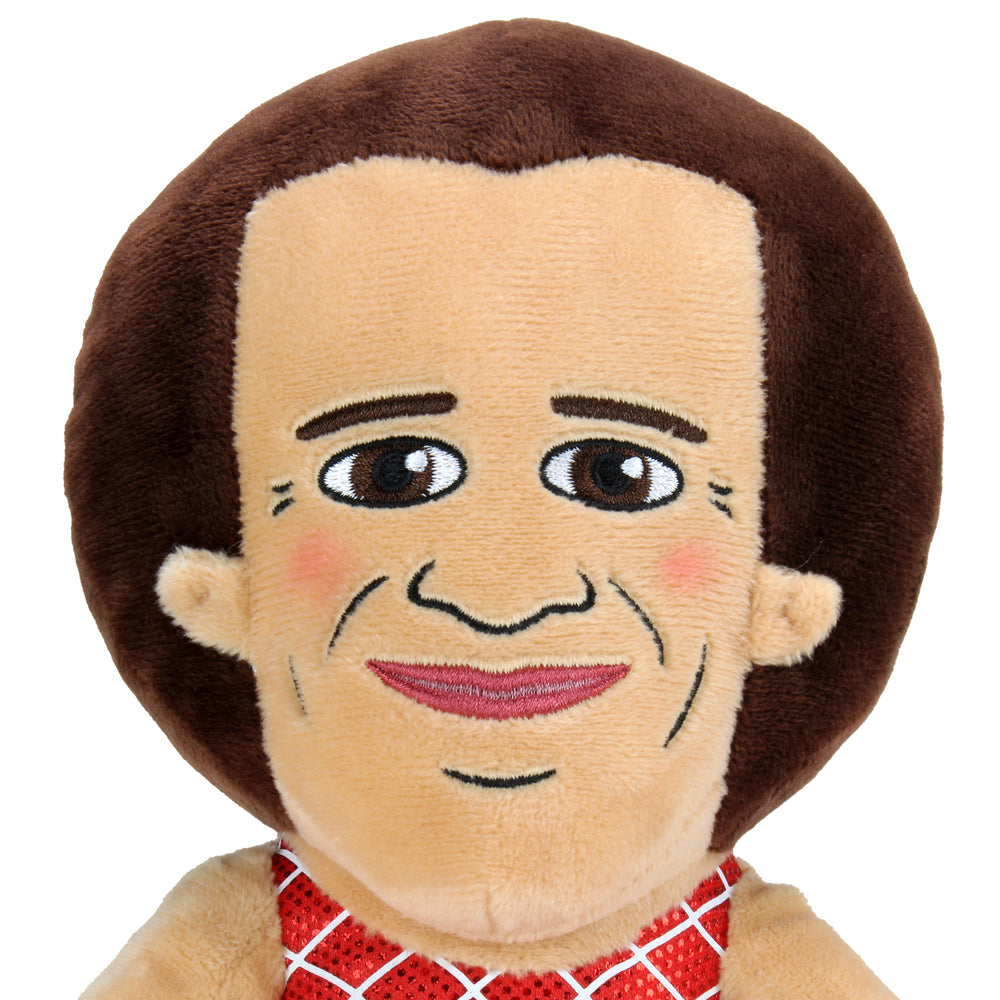 2020 Chia Pets - Richard Simmons - Bob Ross - Chia Hedgehog - Chia